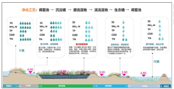 海绵城市透水混凝土场地雨水径流路径图