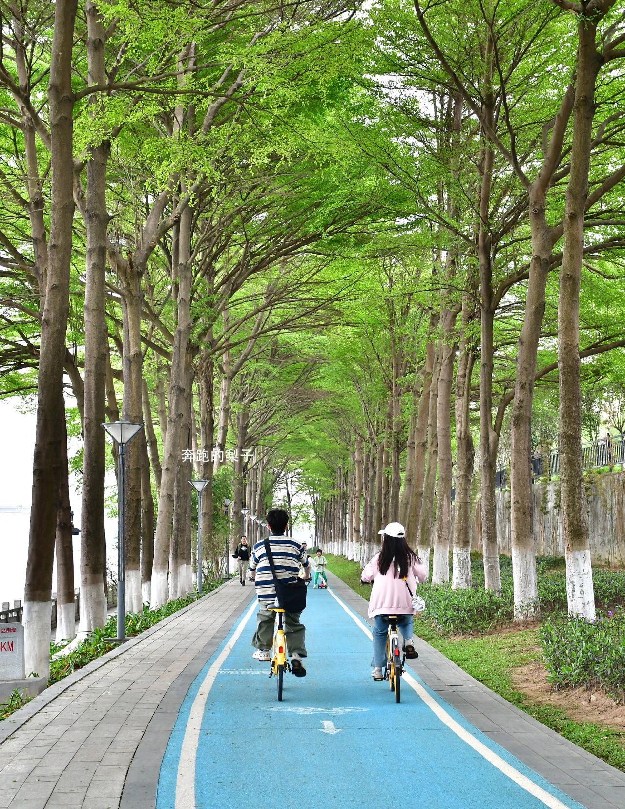 广州透水混凝土应用